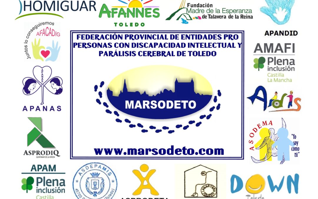 NUEVA JUNTA DIRECTIVA DE LA FEDERACIÓN MARSODETO